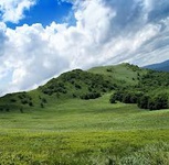 استان مازندارن با ساخت جاده در پارک ملی "پابند" موافقت نکند